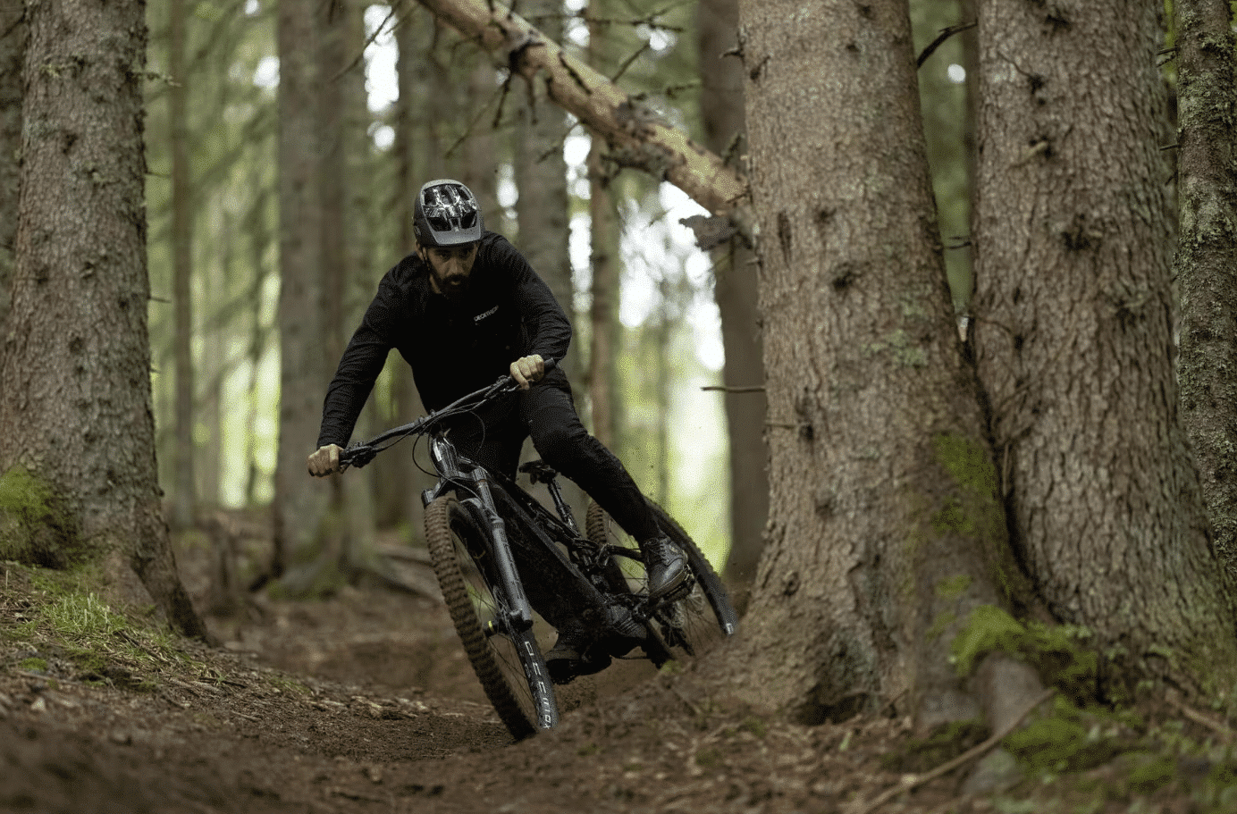 Homme en forêt avec le E-Feel 900S