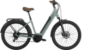 Cannondale Adventure Neo 2 EQ