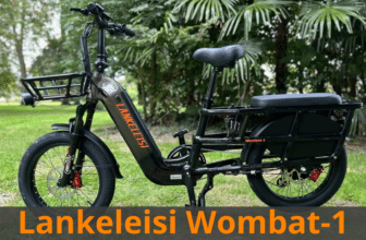 Lankeleisi Wombat-1 Test