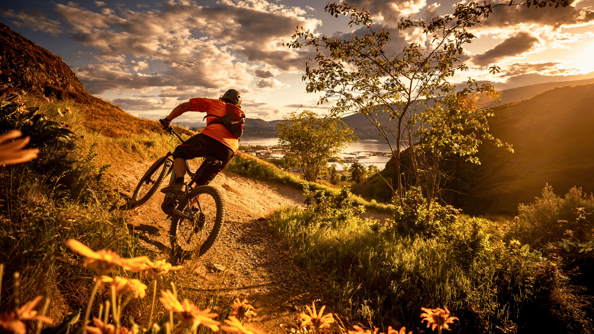 Bonne nouvelle pour les riders Shimano finance des sentiers VTT comme jamais auparavant !
